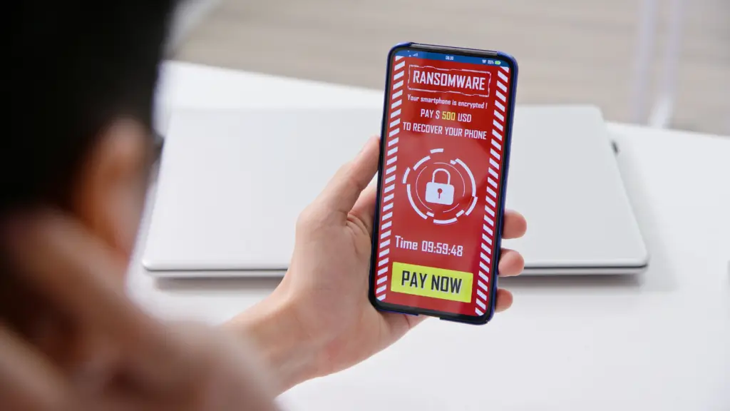 Salinas Cybersecurity Organization